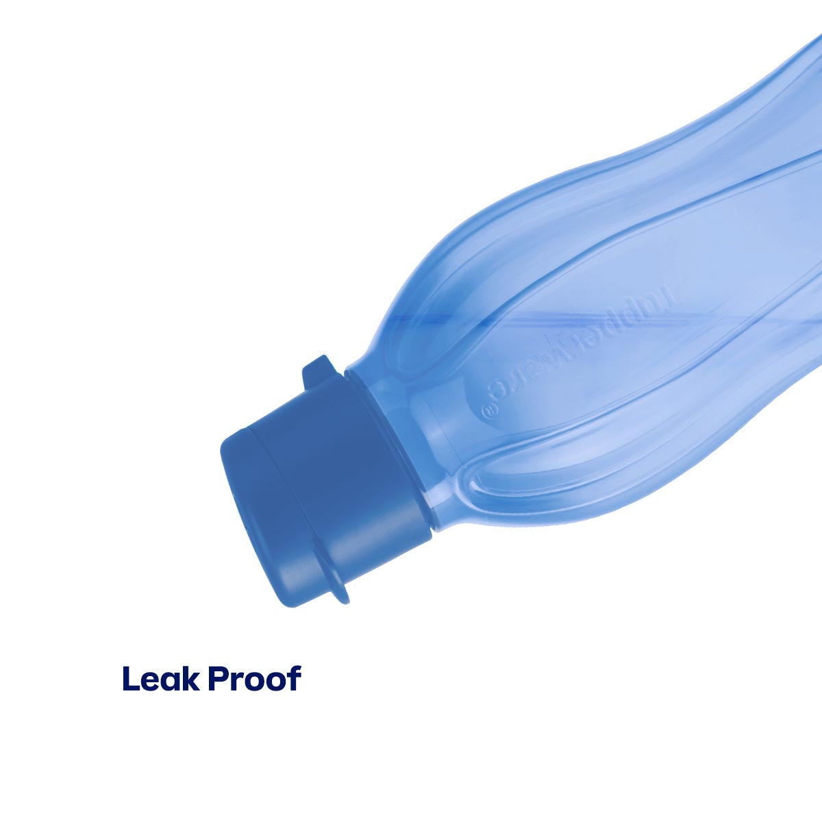 Eco+ Bottle | Small