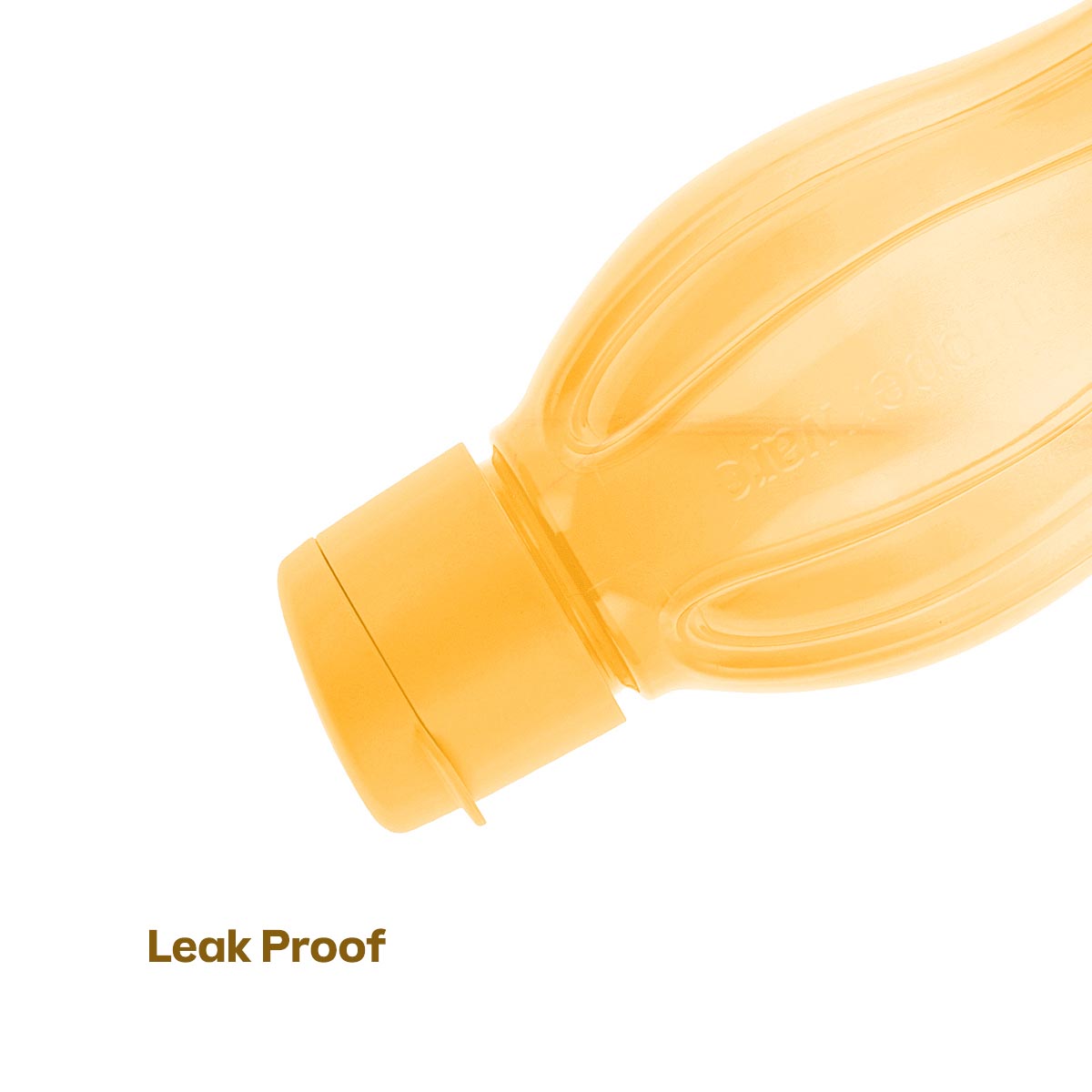 Eco+ Bottle | Large